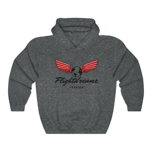 Winged Spirit Hoodie – flightdreamzfashion