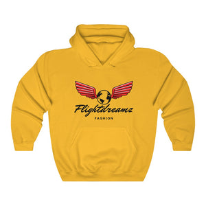 Winged Spirit Hoodie – flightdreamzfashion